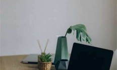 告别小腿肚疼痛：东方法宝